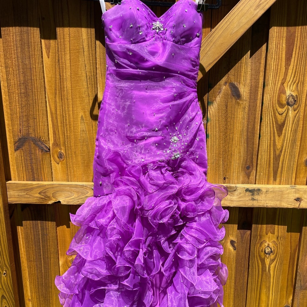 Prom Homecoming or Special Event Dress / Gown